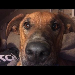 Meet your Posher, Vanessa